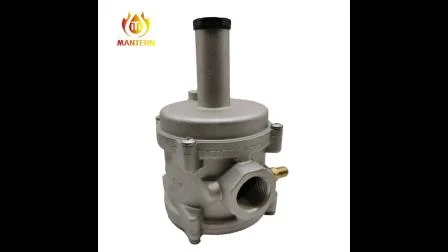 天然ガス調整器 ガスフィルター調整器 (MTGFR01)
